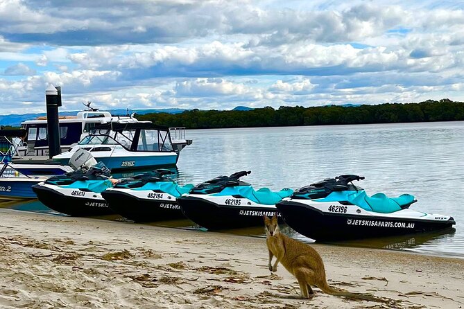 1.5 hr Jet Ski Safari tour to South Stradbroke Island! - Timing, weather, and cancellation details