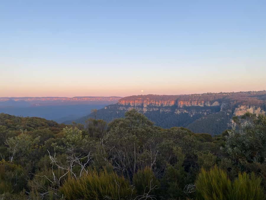 #1 Blue Mountains Tour Scenic World Waterfalls Wildlife Park - Lunch that saves time and uncertainty