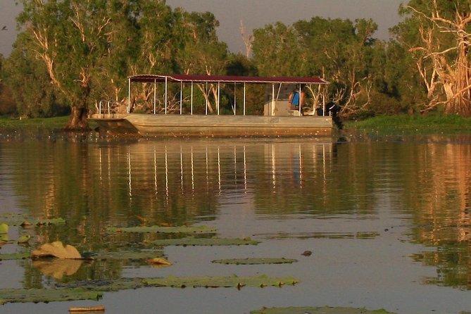 1 Day Corroboree Billabong Wetland Experience including 2.5 hour cruise + lunch - Birds, buffalo, and the small details
