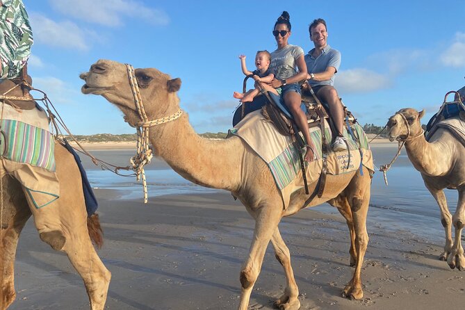 1 Hour Broome Sunset Camel Tour - Key points to know before you book