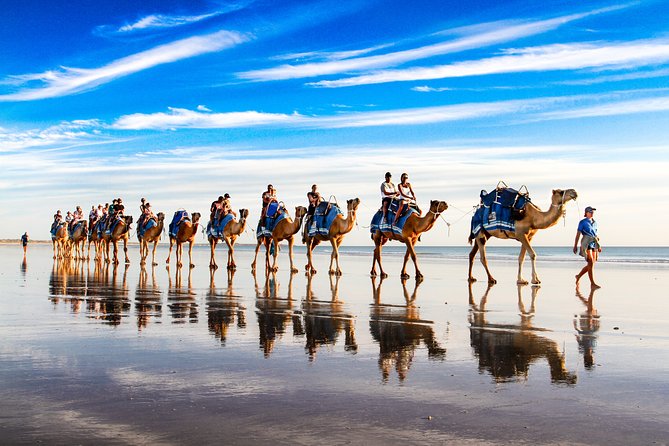 1 Hour Broome Sunset Camel Tour - Finding the camels on Cable Beach