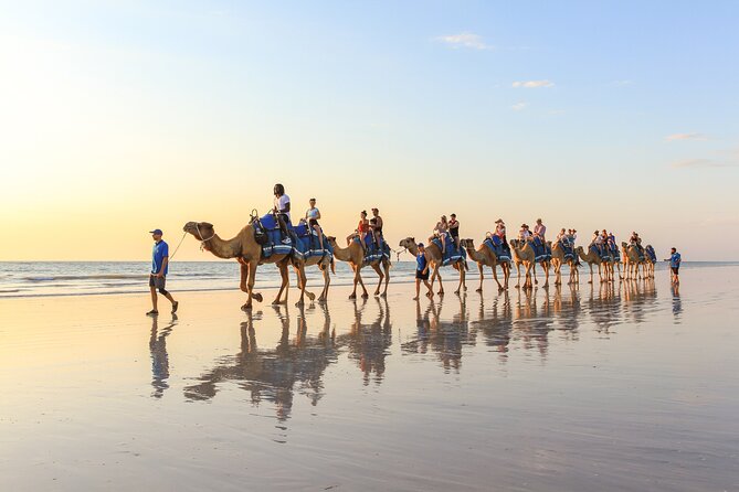 1 Hour Broome Sunset Camel Tour - Comfort, weather, and the 90-kilogram rule