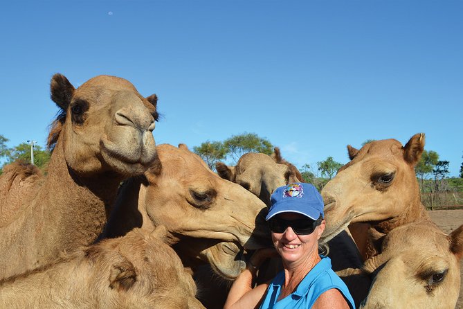 1 Hour Broome Sunset Camel Tour - The carrot and pearl earring finish
