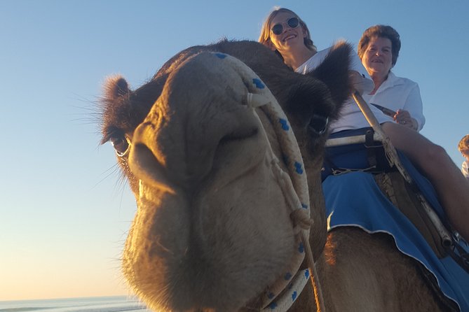 1 Hour Broome Sunset Camel Tour - Who will enjoy this Broome sunset experience