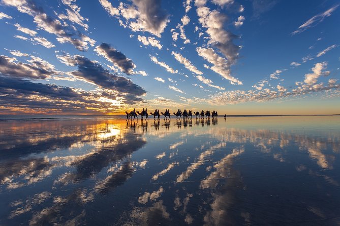 1 Hour Broome Sunset Camel Tour - Meeting your camel and settling into the saddle