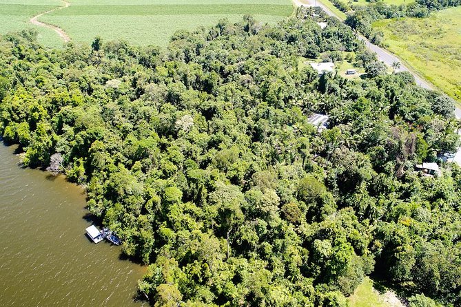 1-Hour Daintree River wildlife cruise - A natural encounter, not a wildlife performance