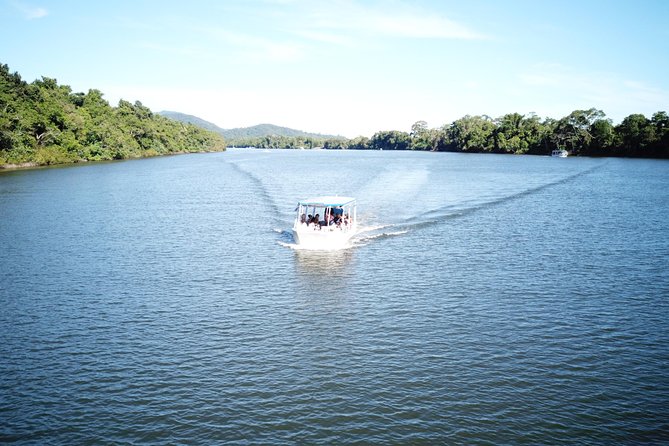 1-Hour Daintree River wildlife cruise - Practical details that improve the outing