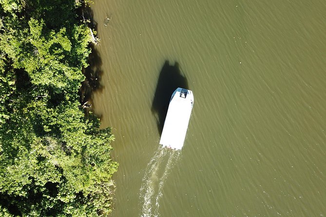 1-Hour Daintree River wildlife cruise - Reaching the boat at Lower Daintree