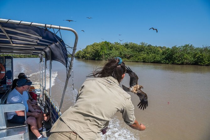 1 Hour Jumping Crocodile Cruise on the Adelaide River - What the Adelaide River cruise is really like