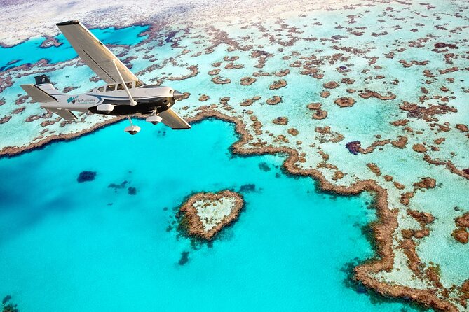 1-Hour Whitsunday Islands and Heart Reef Scenic Flight - Key points to know before booking