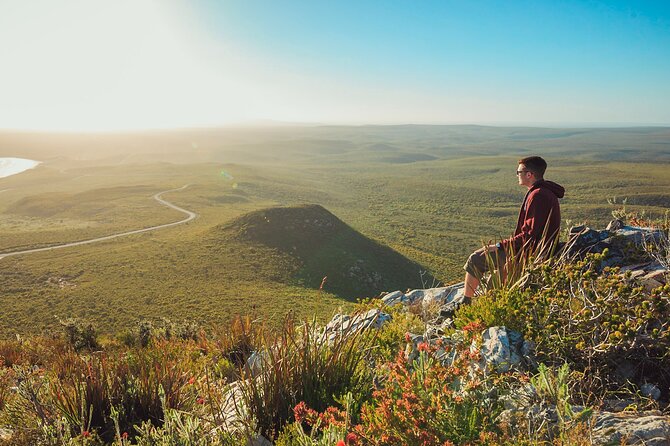 10-Day Adelaide to Perth Adventure Tour - Day 2: Bushwalking, silo art, and sand dunes