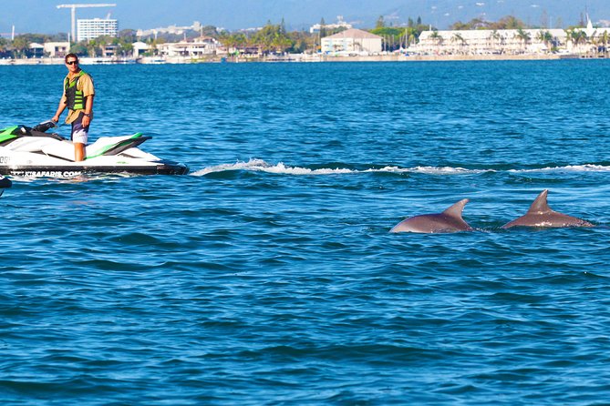 1hr Jet Ski Safari - The ride north along South Stradbroke Island