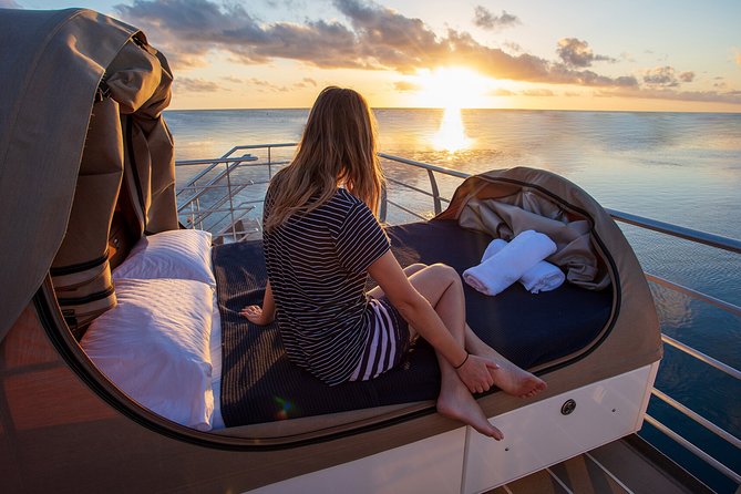 2-Day Great Barrier Reef: Reefsleep Experience - First afternoon on the Reefworld pontoon