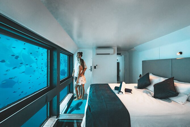 2 Day Great Barrier Reef "Reefsuites" Experience - Why the underwater room changes the whole reef trip