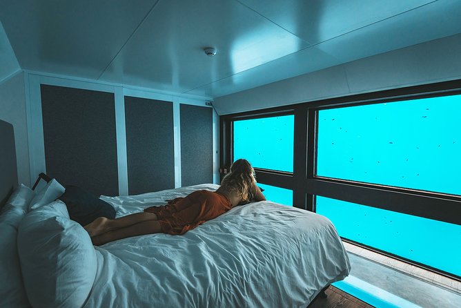 2 Day Great Barrier Reef "Reefsuites" Experience - Hardy Reef, with time to choose your pace