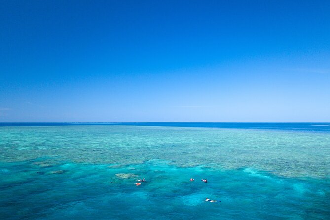 2-Day Snorkelling Experience - Great Barrier Reef Twin Share - Key points to know before booking