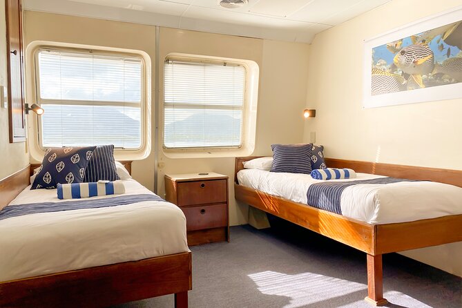 2-Day Snorkelling Experience - Great Barrier Reef Twin Share - Sharks in the Dark after the day boats leave