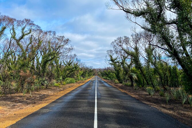 2 day Ultimate Kangaroo Island with return ferry - The best value is the planning, not just the sightseeing