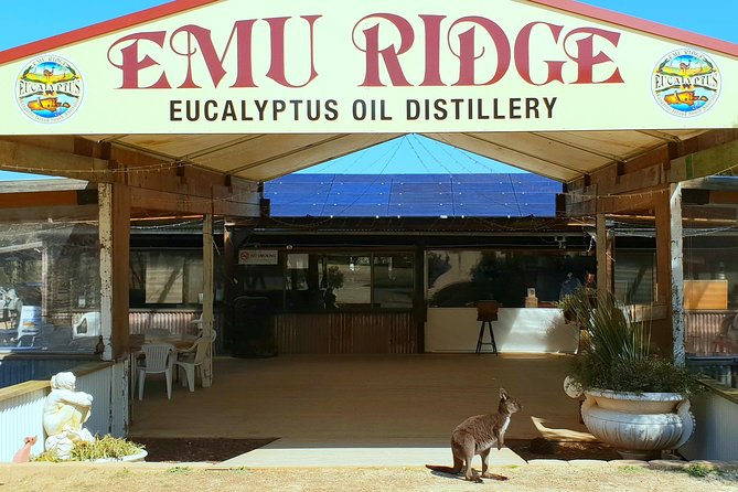 2 day Ultimate Kangaroo Island with return ferry - What to pack and how to manage the pace