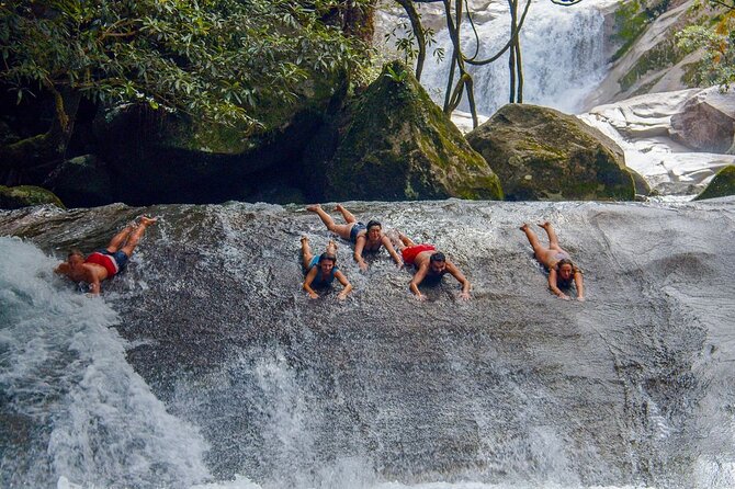 2 Days Tour on Atherton Tablelands and Cape Tribbin - Day two: wallabies, lookouts and the Daintree