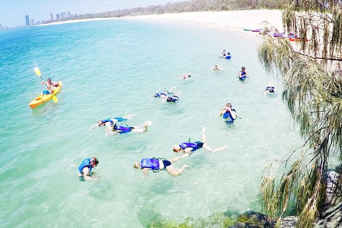 2-Hour Dolphin Kayak & Snorkel Tour on the Broadwater - The real value of $62.40
