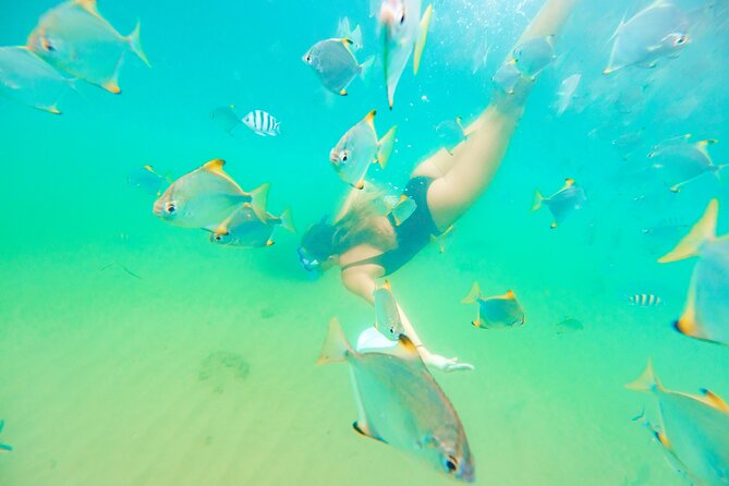 2-Hour Dolphin Kayak & Snorkel Tour on the Broadwater - Who will enjoy this most