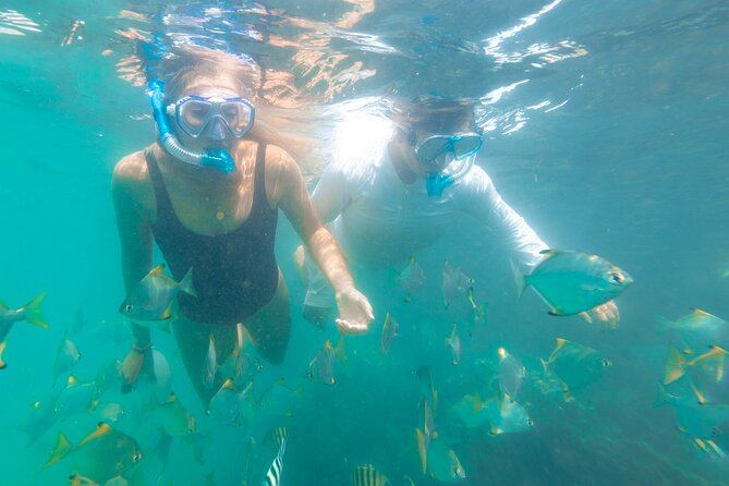 2-Hour Dolphin Kayak & Snorkel Tour on the Broadwater - Weather, cancellations, and useful planning tips