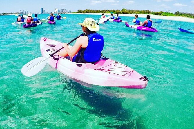 2-Hour Dolphin Kayak & Snorkel Tour on the Broadwater - Should you book the Wavebreak Island tour?