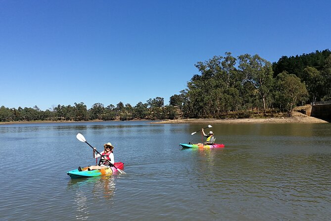 2-Hour Kayaking Experience in Barossa Valley - Is $240 good value?