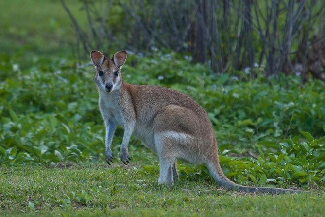 3-Day Best of Cairns Combo: The Daintree Rainforest, Great Barrier Reef, and Kuranda - A full day on the Great Barrier Reef