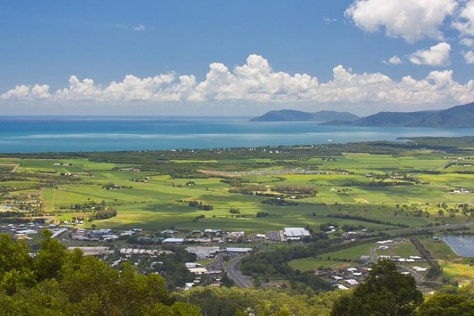 3-Day Best of Cairns Combo: The Daintree Rainforest, Great Barrier Reef, and Kuranda - Skyrail above the rainforest canopy