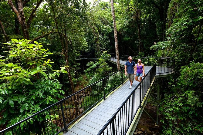 3-Day Best of Cairns Combo: The Daintree Rainforest, Great Barrier Reef, and Kuranda - Mossman Gorge and the Daintree’s forest edge