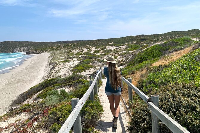 3-Day Kangaroo Island Adventure Tour - From Adelaide to Penneshaw by bus and ferry