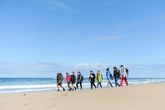 3 Day Murramarang Coast Journey from Batemans Bay with Meals and Villa Accom - Day three: rainforest, Pebbly Beach, and a memorable finish