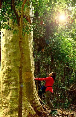3 Day Murramarang Coast Journey from Batemans Bay with Meals and Villa Accom - The accommodation and meals are part of the appeal