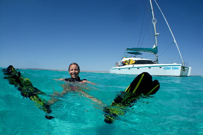 3 Night Ningaloo Reef Snorkel and Dive Getaway from Coral Bay - Day 3: Choosing the best sites for the conditions