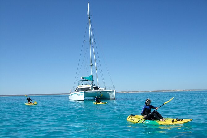 3 Night Ningaloo Reef Snorkel and Dive Getaway from Coral Bay - Day 4: Manta rays before returning to Coral Bay