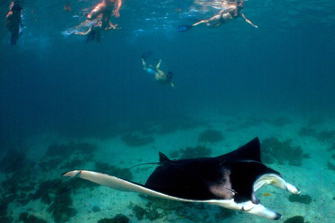3 Night Ningaloo Reef Snorkel and Dive Getaway from Coral Bay - Life aboard the boat