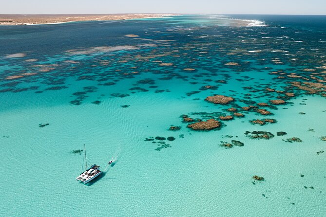 3 Night Ningaloo Reef Snorkel and Dive Getaway from Coral Bay - Day 2: Stag Forest and the first full reef day
