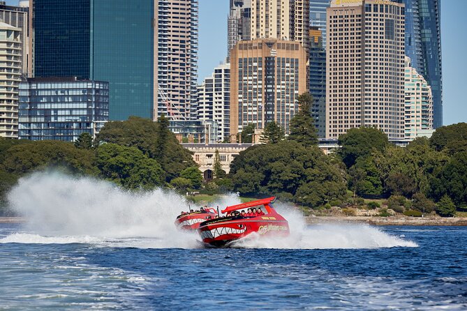 30-Minute Sydney Harbour Jet Boat Thrill Ride - The Harbour Bridge from water level