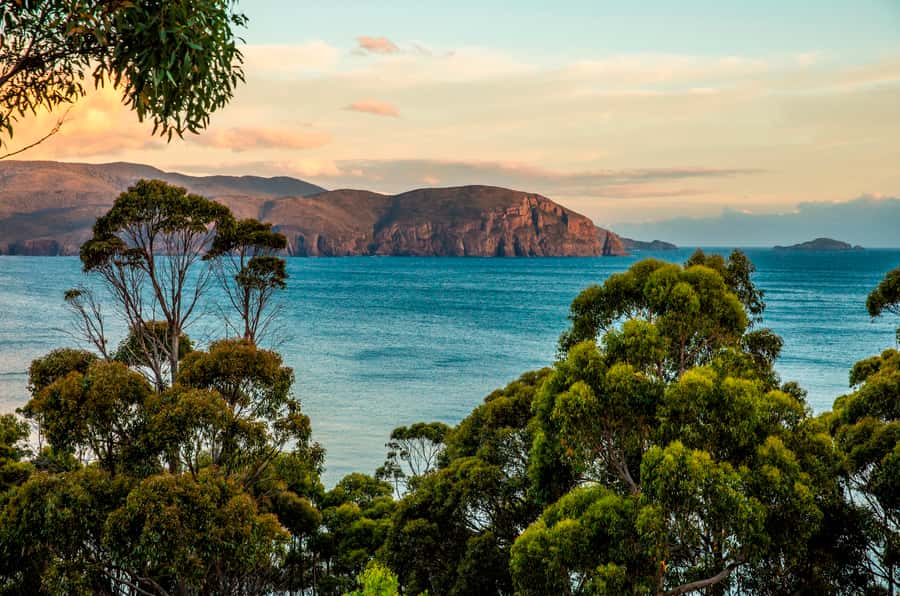 3D Tasmanian Highlights: Hobart, Port Arthur & Bruny Island - Day 3: Four hours at Port Arthur
