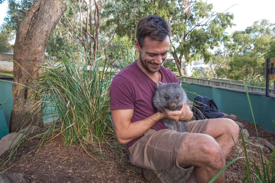 3D Tasmanian Highlights: Hobart, Port Arthur & Bruny Island - Should you book the 3D Tasmanian Highlights tour?