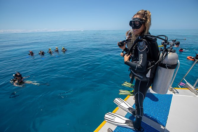 4-Day PADI Open Water Dive Course - Learn to Dive on the Great Barrier Reef - The $677.79 price: where the value lies