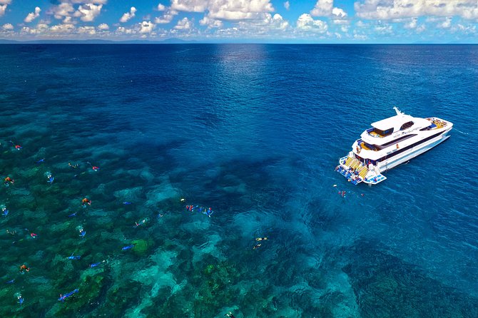 4-Day PADI Open Water Dive Course - Learn to Dive on the Great Barrier Reef - Fitness, age, and medical rules