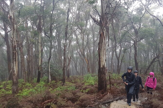 4 Day Wild Tasmania Tour / Wildlife, Nature, Hiking / Inc. Accom - Who should book this Tasmania tour?