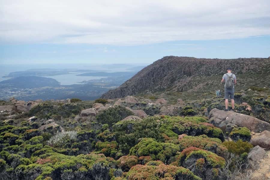 48-Hour Hobart City Loop Tour and Mt Wellington - Key points to know before you book