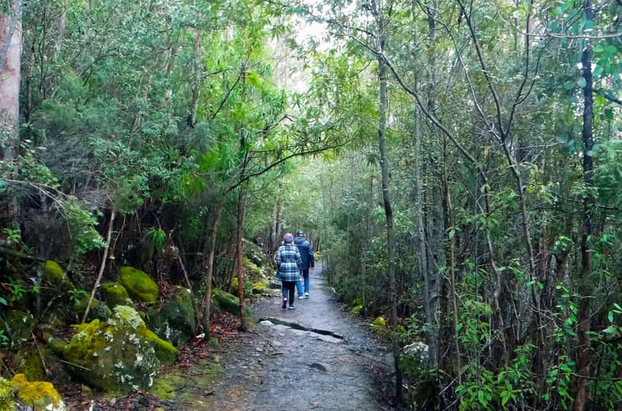 48-Hour Hobart City Loop Tour and Mt Wellington - What makes the mountain experience worth adding