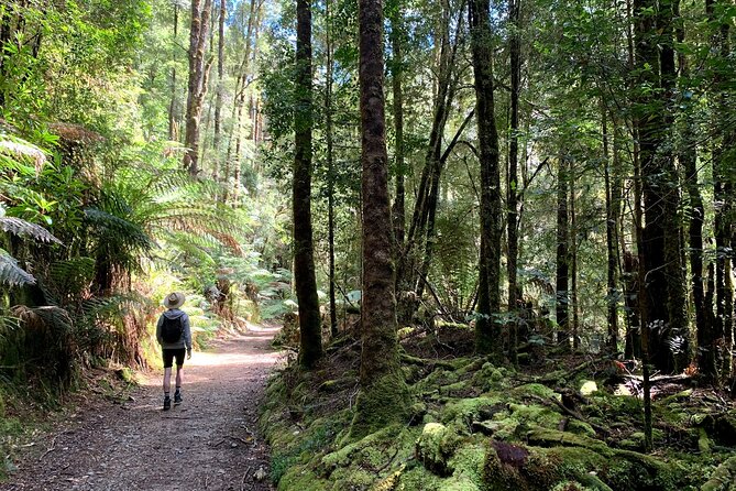 5-Day Best of Tasmania Tour from Hobart - Day 5: Freycinet, Wineglass Bay and the return to Hobart