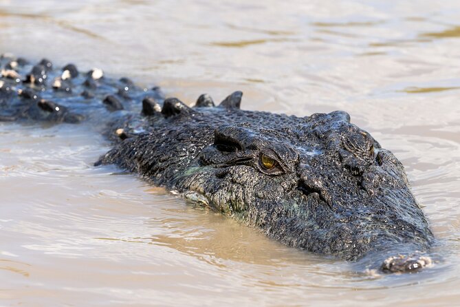 5 Day Kakadu Katherine Gorge Litchfield 4WD Camping Adventure - Key points at a glance