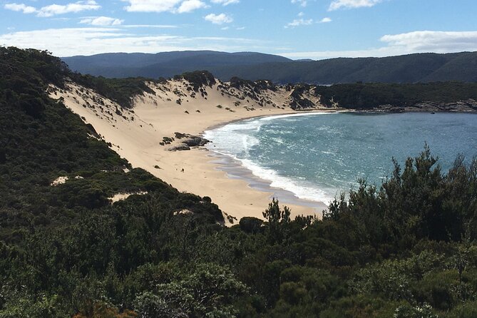 7-Day Super Value Tour of Tasmania: Explore Tasmania's West and East Coasts - Day 4: Cataract Gorge and the Bay of Fires